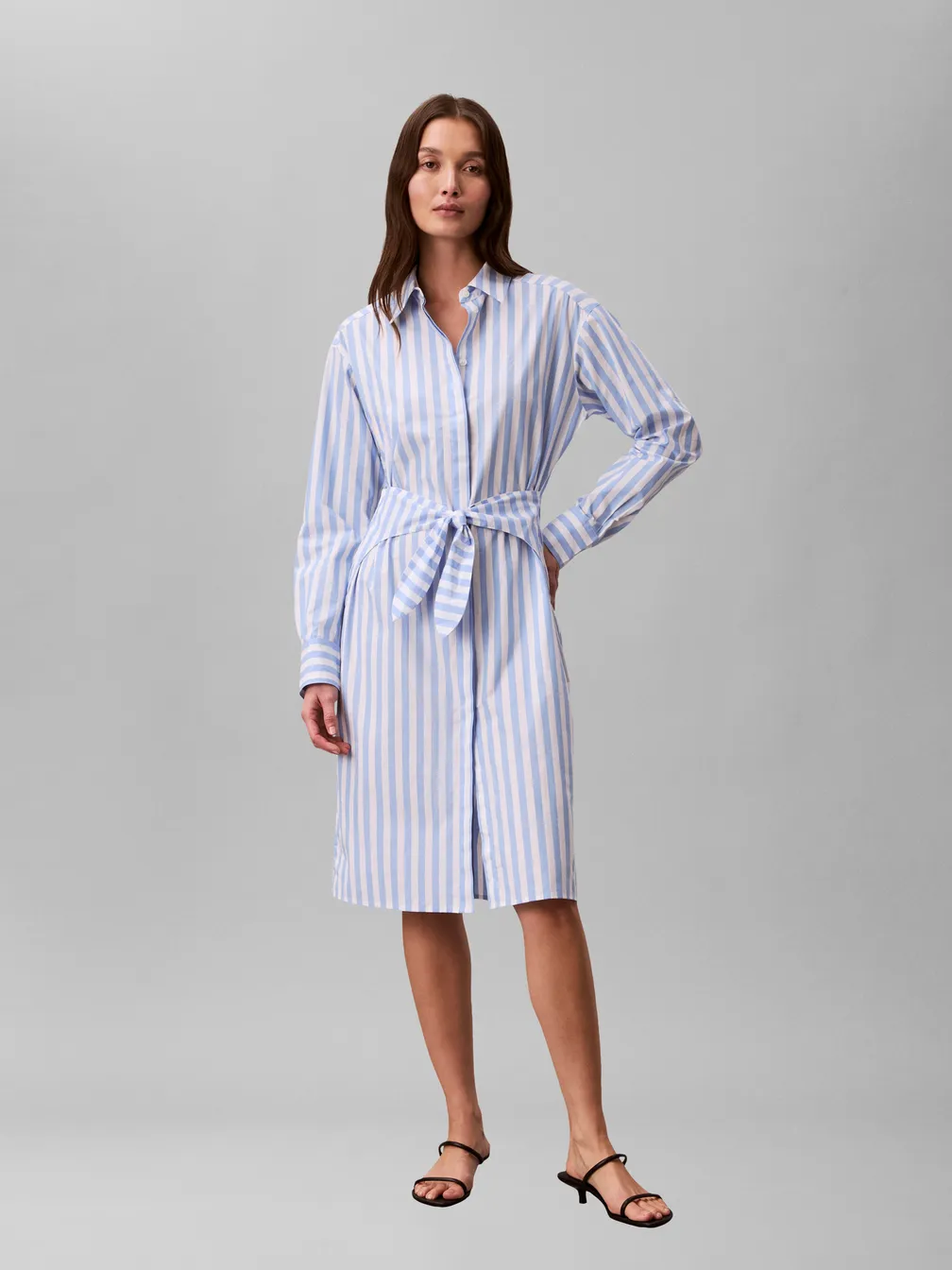 Buy: Women Dress CALVIN KLEIN JEANS Yarndye Cotton Poplin Shirtdress Light  blue from Podiumriga.lv online shop. Delivery, price, credit | LV044F032GC32